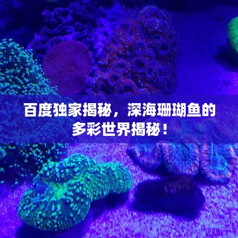 百度独家揭秘，深海珊瑚鱼的多彩世界揭秘！