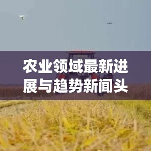 农业领域最新进展与趋势新闻头条揭秘