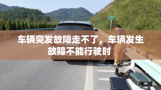 车辆突发故障走不了，车辆发生故障不能行驶时 