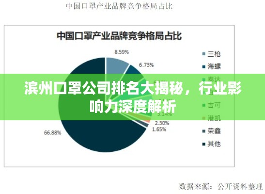 滨州口罩公司排名大揭秘，行业影响力深度解析