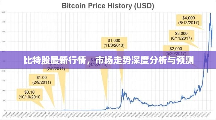 比特股最新行情，市场走势深度分析与预测