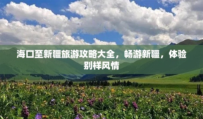 海口至新疆旅游攻略大全，畅游新疆，体验别样风情