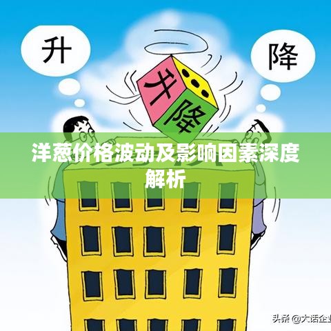 洋葱价格波动及影响因素深度解析