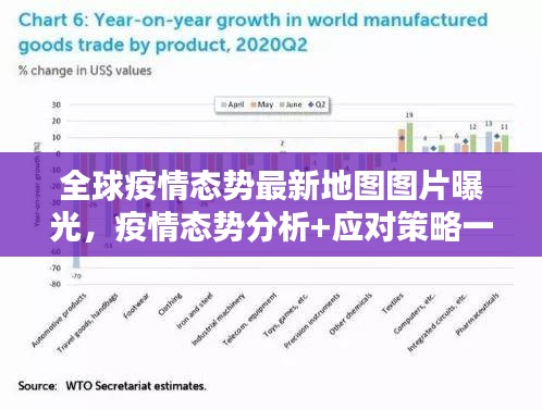 全球疫情态势最新地图图片曝光，疫情态势分析+应对策略一网打尽