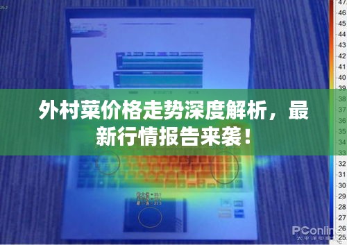 外村菜价格走势深度解析，最新行情报告来袭！