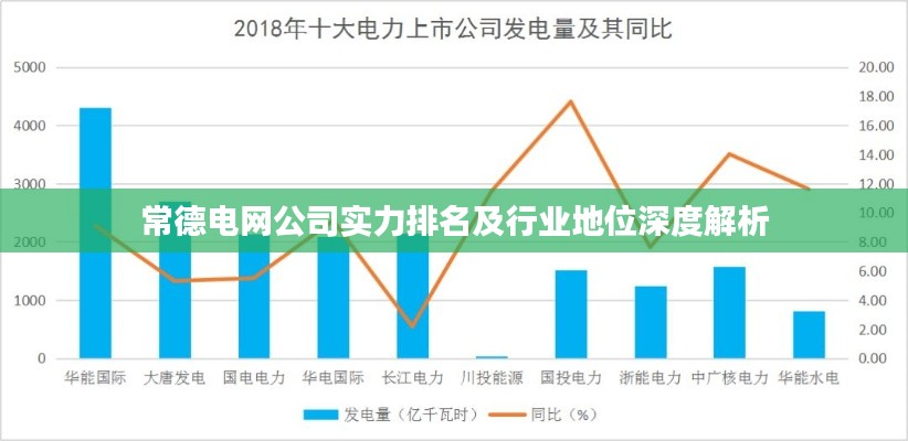 常德电网公司实力排名及行业地位深度解析