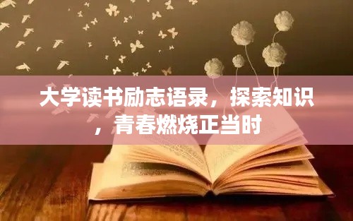 大学读书励志语录，探索知识，青春燃烧正当时