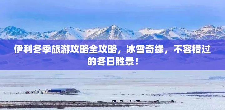 伊利冬季旅游攻略全攻略，冰雪奇缘，不容错过的冬日胜景！