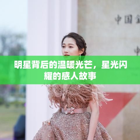 明星背后的温暖光芒，星光闪耀的感人故事