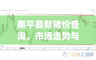 南平最新猪价查询，市场走势与影响因素深度解析