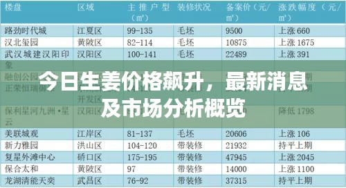 今日生姜价格飙升，最新消息及市场分析概览