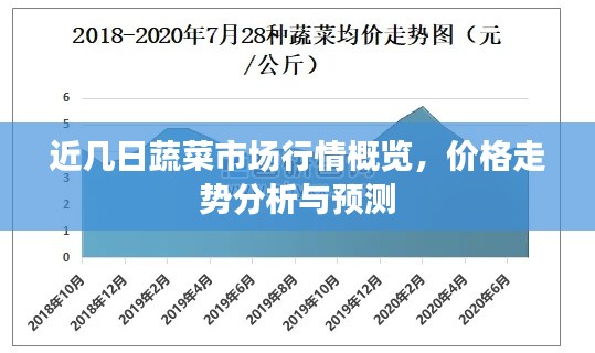 近几日蔬菜市场行情概览，价格走势分析与预测