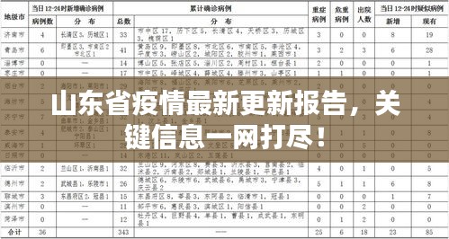 山东省疫情最新更新报告，关键信息一网打尽！