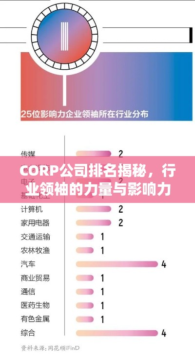 CORP公司排名揭秘，行业领袖的力量与影响力榜单揭晓