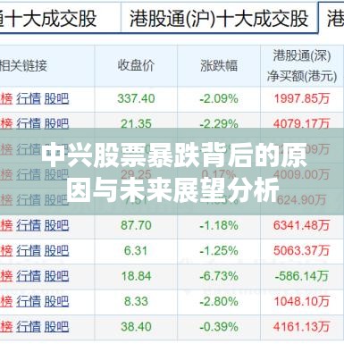 中兴股票暴跌背后的原因与未来展望分析