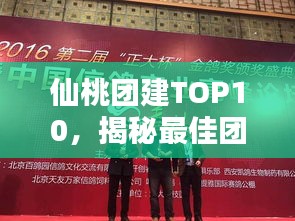 仙桃团建TOP10，揭秘最佳团队建设实践，提升团队凝聚力与执行力