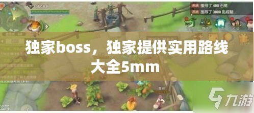 独家boss，独家提供实用路线大全5mm 