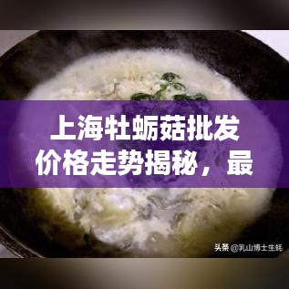 上海牡蛎菇批发价格走势揭秘，最新行情分析