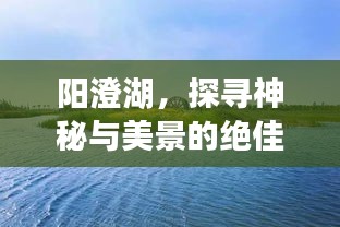 阳澄湖，探寻神秘与美景的绝佳交汇点