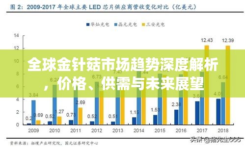 全球金针菇市场趋势深度解析，价格、供需与未来展望