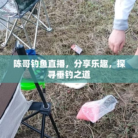 陈哥钓鱼直播，分享乐趣，探寻垂钓之道