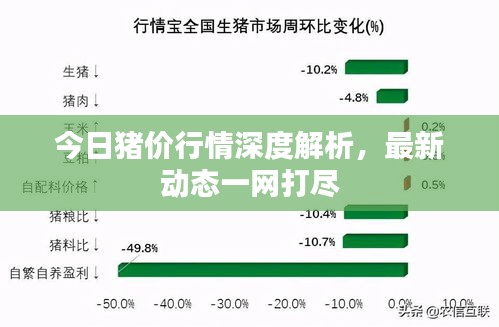 今日猪价行情深度解析，最新动态一网打尽