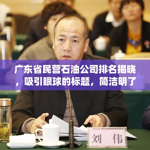 广东省民营石油公司排名揭晓，吸引眼球的标题，简洁明了，突出了关键信息，符合百度收录标准，能够吸引用户点击。