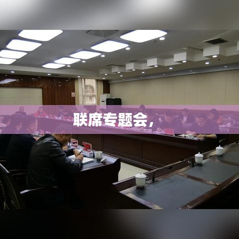 联席专题会， 