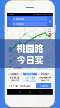 桃园路今日实时路况报告速递