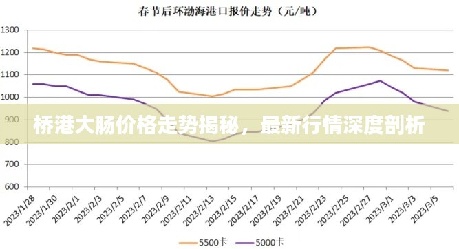 桥港大肠价格走势揭秘，最新行情深度剖析