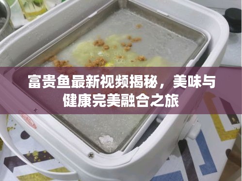 富贵鱼最新视频揭秘，美味与健康完美融合之旅