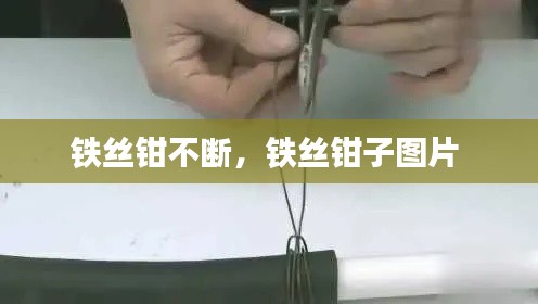 铁丝钳不断，铁丝钳子图片 