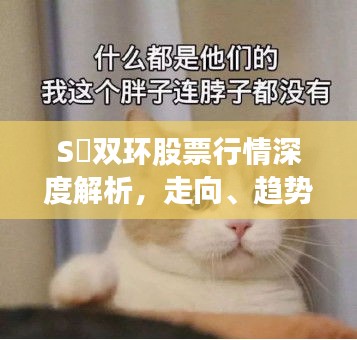 S丅双环股票行情深度解析，走向、趋势与投资机会一网打尽！