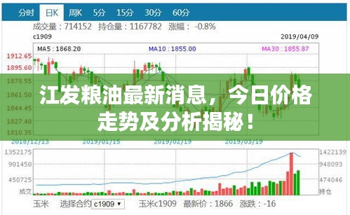 2025年1月26日 第2页