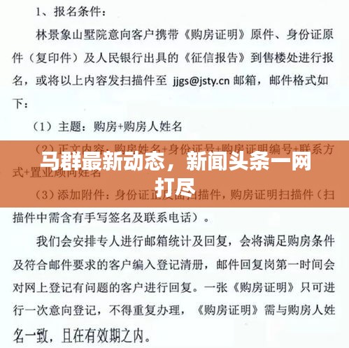 马群最新动态，新闻头条一网打尽