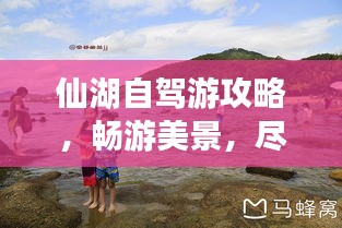 仙湖自驾游攻略，畅游美景，尽享自在之旅