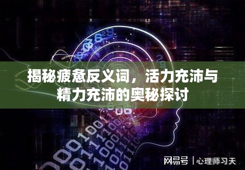 揭秘疲惫反义词，活力充沛与精力充沛的奥秘探讨