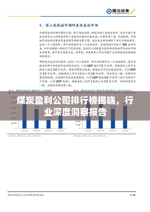 煤炭盈利公司排行榜揭晓，行业深度洞察报告