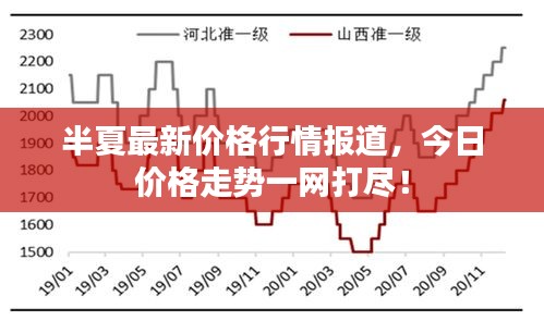 半夏最新价格行情报道，今日价格走势一网打尽！