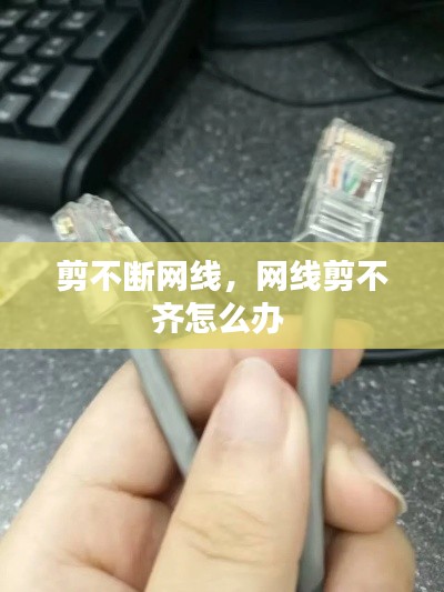 剪不断网线，网线剪不齐怎么办 