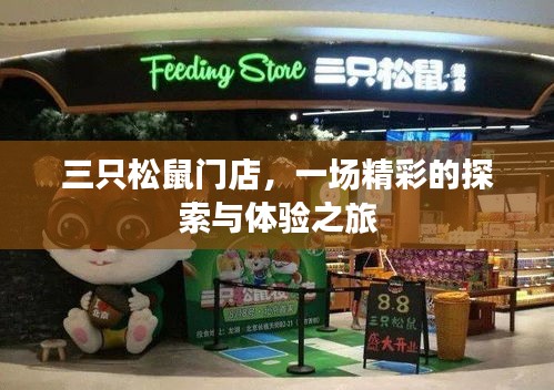 三只松鼠门店，一场精彩的探索与体验之旅