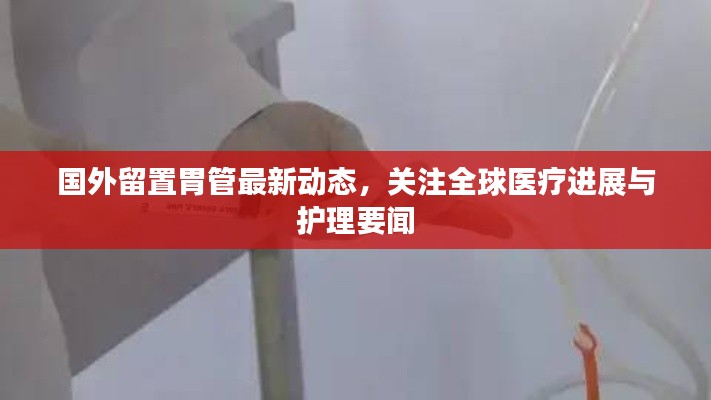 国外留置胃管最新动态，关注全球医疗进展与护理要闻