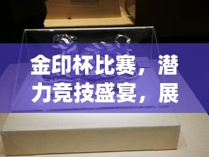 金印杯比赛，潜力竞技盛宴，展现无限风采！