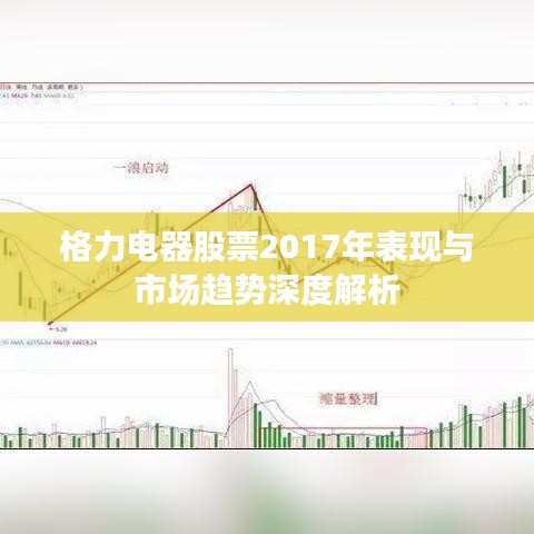 格力电器股票2017年表现与市场趋势深度解析