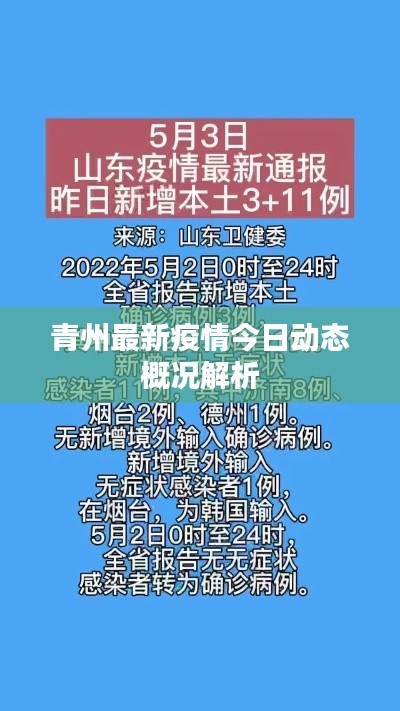 青州最新疫情今日动态概况解析