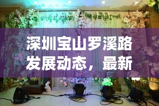 深圳宝山罗溪路发展动态，最新新闻头条揭秘区域崛起