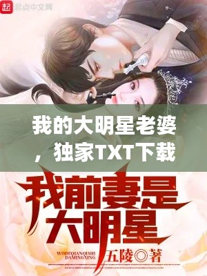 我的大明星老婆，独家TXT下载渠道揭秘！