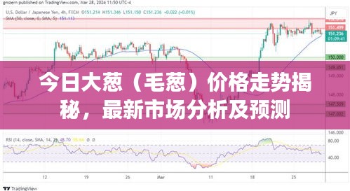 今日大葱（毛葱）价格走势揭秘，最新市场分析及预测