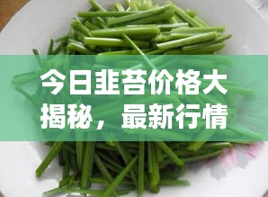 今日韭苔价格大揭秘，最新行情查询