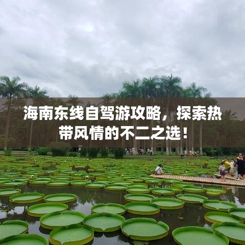 海南东线自驾游攻略，探索热带风情的不二之选！